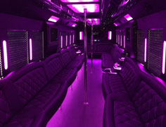 Houston Party Buses