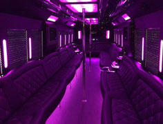 Houston Weddings, Wedding Bus Services